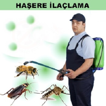 Göztepe Böcek İlaçlama
